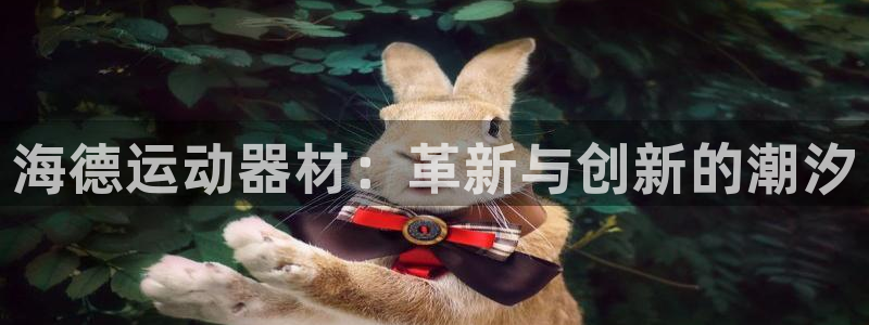 球客岛官方正版app集团：海德运动器材：革新与创新的潮汐