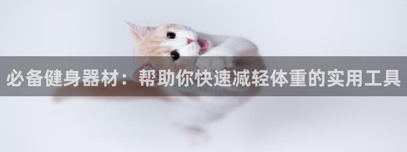 球客岛官方正版app娱乐网站
