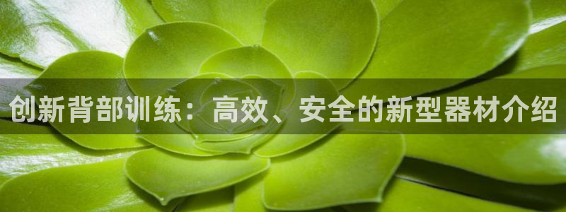 球客岛官网下载平台注册流程图：创新背部训练：高效、安