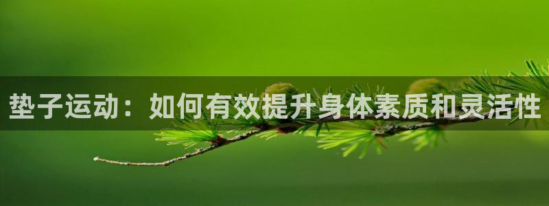 球客岛官方正版app开户：垫子运动：如何有效提升身体素质和灵