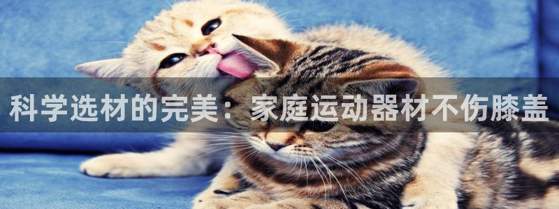 德国球客岛官方正版app集团：科学选材的完美：家庭运动器材不