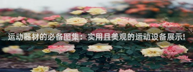 球客岛官网下载是干嘛的公司：运动器材的必备图集：实用
