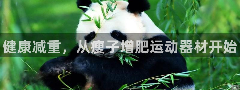 球客岛官方正版app官方：健康减重，从瘦子增肥运动器