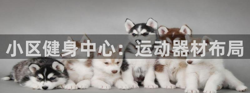 球客岛官方正版app娱乐平台：小区健身中心：运动器材