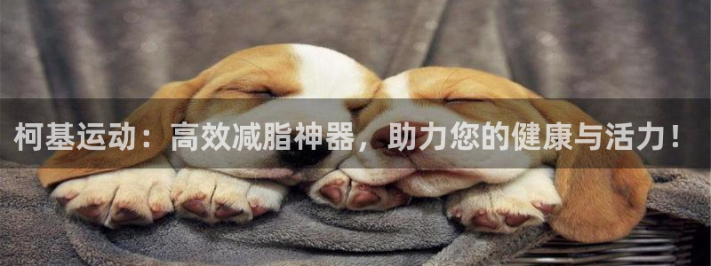 球客岛官网下载平台是正规平台吗：柯基运动：高效减脂神器，助力