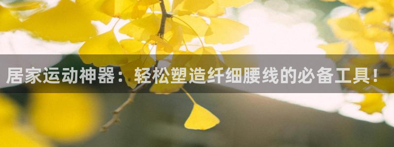 球客岛官方正版app代理：居家运动神器：轻松塑造纤细