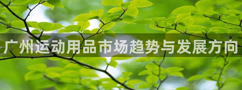 球客岛官方正版app集团简介：广州运动用品市场趋势与