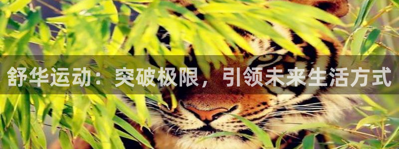 球客岛官网下载招商电话号码是多少啊：舒华运动：突破极