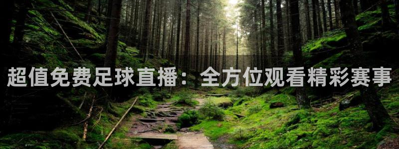 178篮球直播在线直播：超值免费足球直播：全方位观看精彩赛事