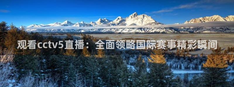 178体育app官网下载比赛直播：观看cctv5直播：全面领略国际赛事精彩瞬间