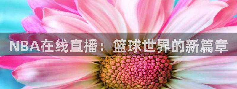 178zb2直播体育下载：NBA在线直播：篮球世界的新篇章