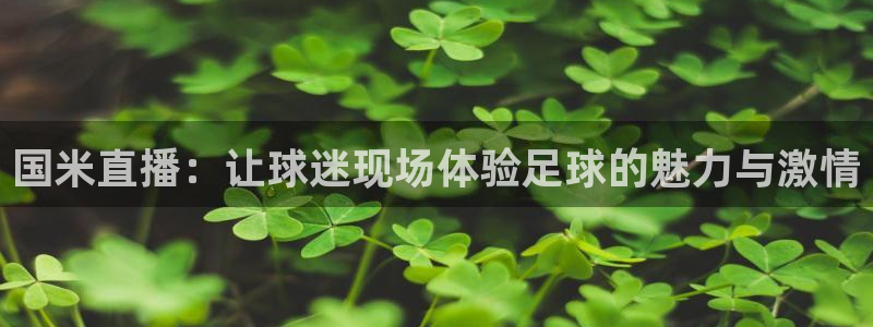 178足球直播：国米直播：让球迷现场体验足球的魅力与激情