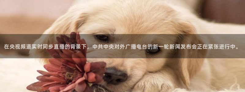 178直播足球：在央视频道实时同步直播的背景下，中共中央对外广播电台的新一轮新闻发布会正在紧张进行中。