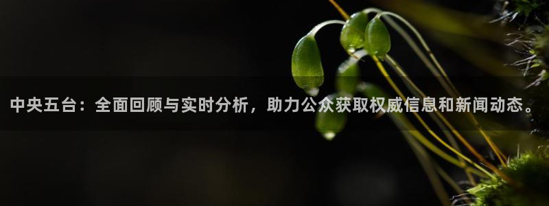 nba直播在线直播178：中央五台：全面回顾与实时分析，助力公众获取权威信息和新闻动态。