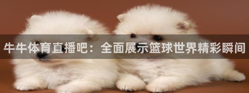 足球直播178在线直播：牛牛体育直播吧：全面展示篮球世界精彩瞬间