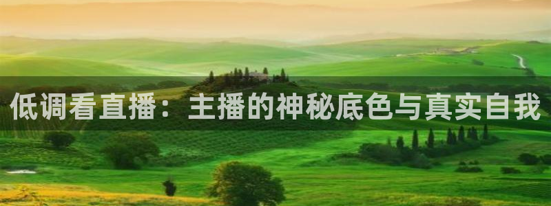 178足球体育直播平台：低调看直播：主播的神秘底色与真实自我
