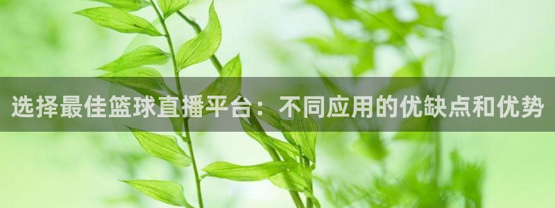 178免费看球：选择最佳篮球直播平台：不同应用的优缺点和优势