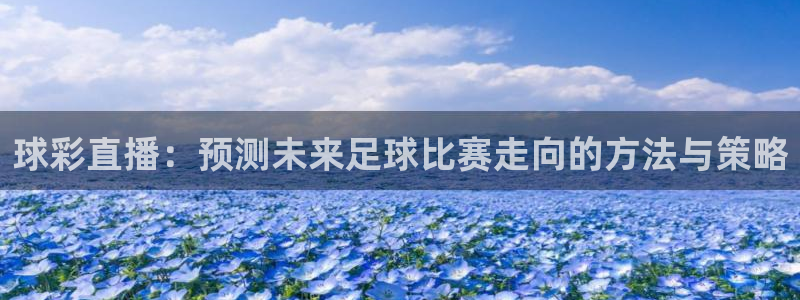 nba直播178主播笑笑：球彩直播：预测未来足球比赛走向的方法与策略