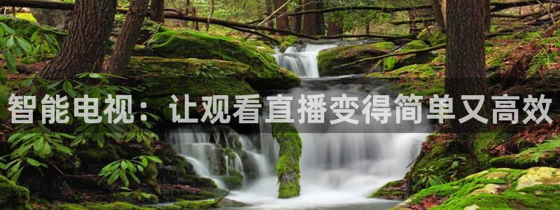178体育直播间：智能电视：让观看直播变得简单又高效