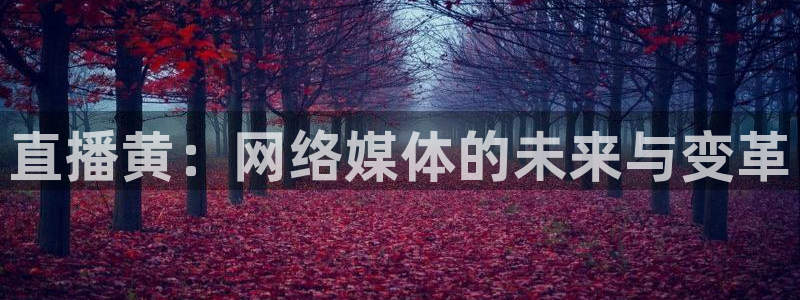 178直播网：直播黄：网络媒体的未来与变革