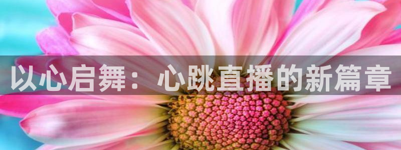 178篮球直播平台：以心启舞：心跳直播的新篇章